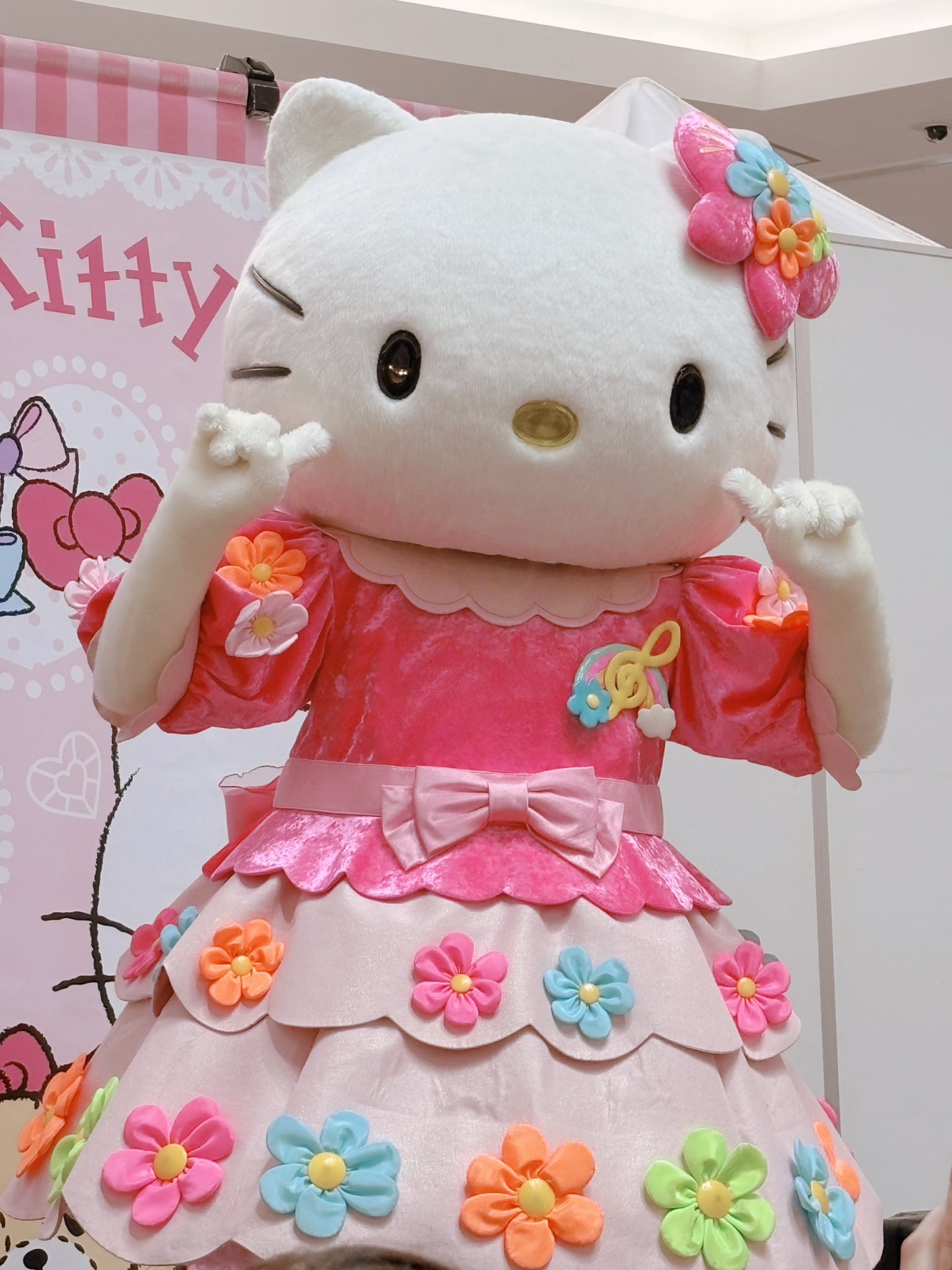 ぴよんさま確認ページ♡ ふわぴょんପ₍ᐢ｡•༝•｡ᐢ₎ଓ♩ (@fuwapi2557pi) / X