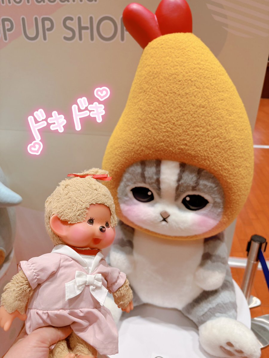 ふわぴょんପ₍ᐢ｡•༝•｡ᐢ₎ଓ♩ (@fuwapi2557pi) / X