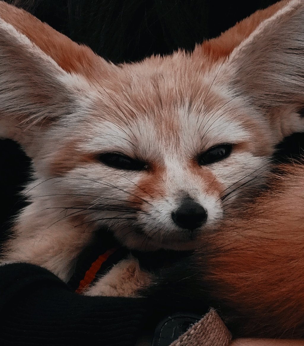 Samah (@samah_bel63249) on Twitter photo 