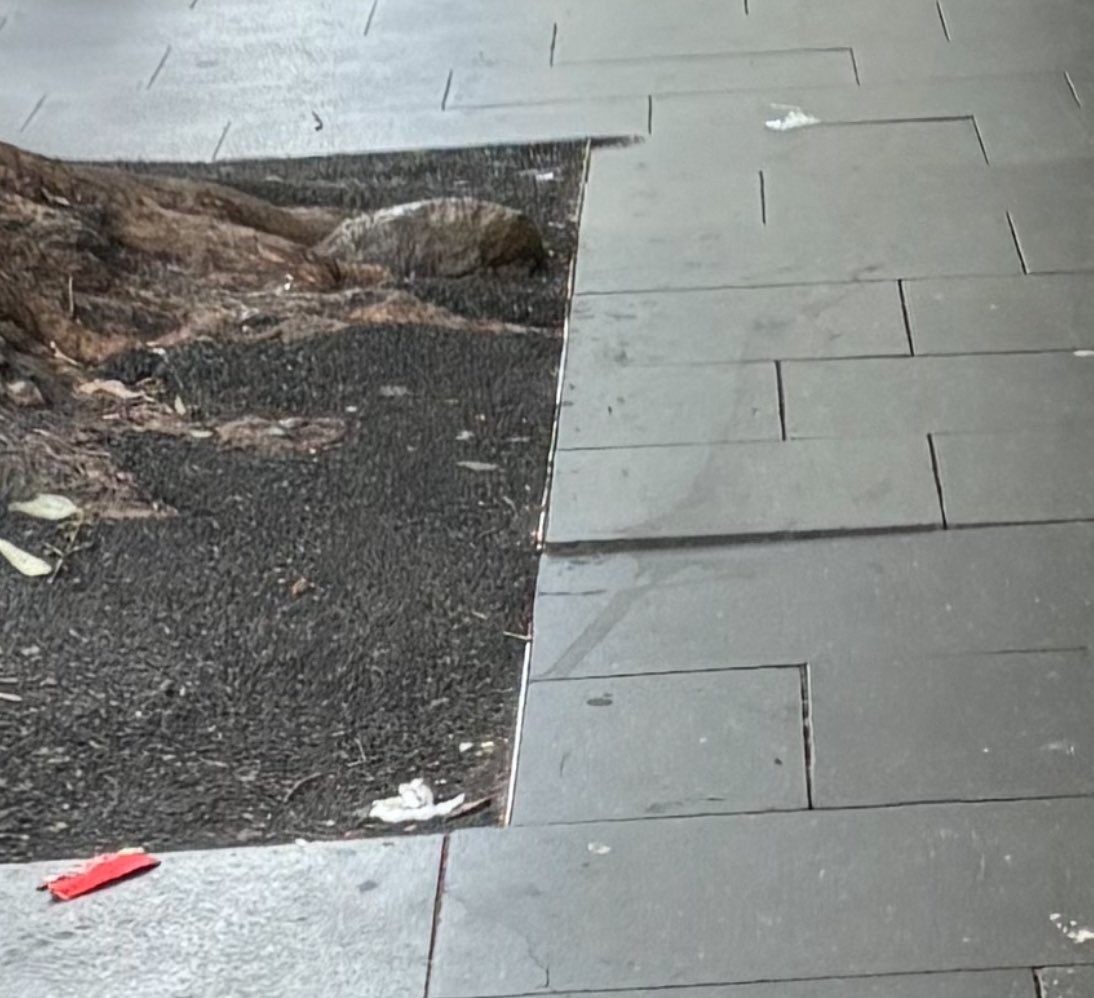 SydPedestrian's tweet photo. Hi @cityofsydney could you please remind Via Napoli (628 Crown St Surry Hills) to comply with their Footway Approval? 

They are only leaving 0.8m clearance for pedestrians (at least is 2m required), forcing people into the uneven tree root area and pavers, which is a trip hazard https://t.co/jnFLaZFr6Q