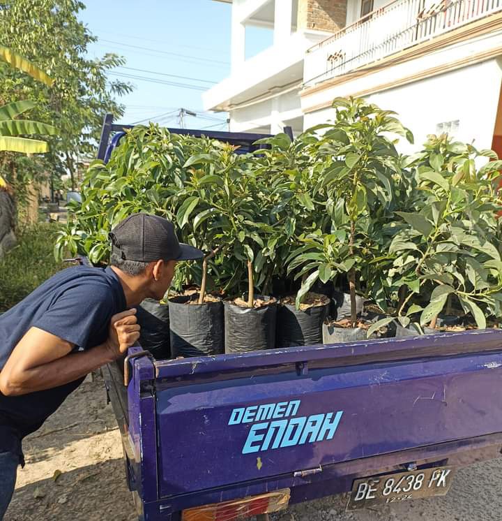 daunjaya's tweet photo. Otw... majikan baru
Bibit Alpukat😎 https://t.co/3yb90nhwcY