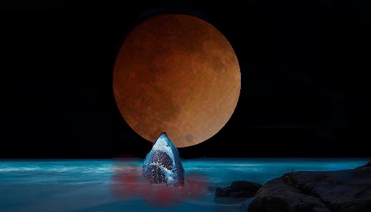 meg82159's tweet image. #CHARACTERCONTEST
Anyone who purchases a set of #MEG Legacy tonight between 947 pm EST and 2:42 am will be written into a special opening scene in #MEG7:#PURGATORY I
call &quot;Dancin&apos; in the Blood-Moonlight” If  your character lives or dies depends on time of purchase #meglegacy.com