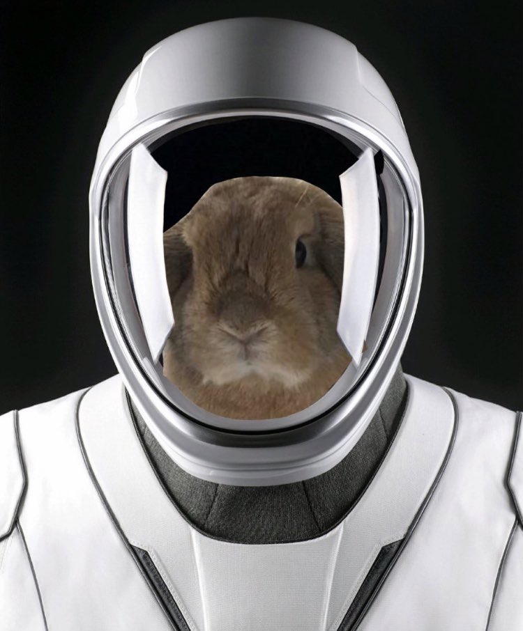 ElectricBun's tweet photo. @NoTTuReL @teslaownersSV @theXtakeover Or a bunny ⚡️🐰👩‍🚀 https://t.co/qidZJ1HMk4