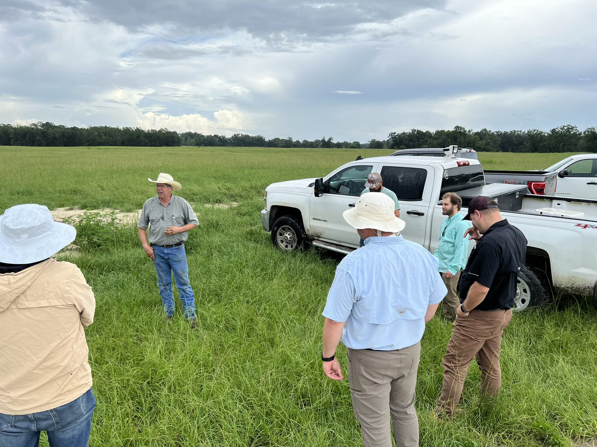 Shivendra Kumar (@kumar_rowcrops) on Twitter photo Reverse Field Day 2024- met 8 farmers in Levy, Columbia and Suwannee County with Specialists. Covered corn, peanut and hay production area of around 20000 acres in Suwannee Valley region.<a href="/JayCapasso/">Jay Capasso</a> <a href="/Sidhu_Agronomy/">Sudeep Singh Sidhu, Ph.D.</a> <a href="/nfrec_sv/">NFREC-SV</a> <a href="/ufifasnfrec/">UF IFAS NFREC</a> <a href="/UFIFASAgronomy/">Agronomy at UF</a> <a href="/saqibiam/">Saqib Mukhtar</a> <a href="/IFAS_Extension/">Dr. Andra Johnson</a> Reverse Field Day 2024- met 8 farmers in Levy, Columbia and Suwannee County with Specialists. Covered corn, peanut and hay production area of around 20000 acres in Suwannee Valley region.<a href="/JayCapasso/">Jay Capasso</a> <a href="/Sidhu_Agronomy/">Sudeep Singh Sidhu, Ph.D.</a> <a href="/nfrec_sv/">NFREC-SV</a> <a href="/ufifasnfrec/">UF IFAS NFREC</a> <a href="/UFIFASAgronomy/">Agronomy at UF</a> <a href="/saqibiam/">Saqib Mukhtar</a> <a href="/IFAS_Extension/">Dr. Andra Johnson</a>