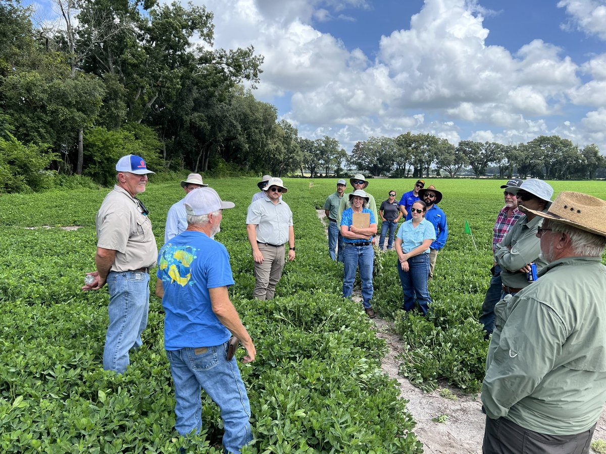 kumar_rowcrops's tweet photo. Reverse Field Day 2024- met 8 farmers in Levy, Columbia and Suwannee County with Specialists. Covered corn, peanut and hay production area of around 20000 acres in Suwannee Valley region.@JayCapasso @Sidhu_Agronomy @nfrec_sv @ufifasnfrec @UFIFASAgronomy @saqibiam @IFAS_Extension https://t.co/pyIvL7OroP
