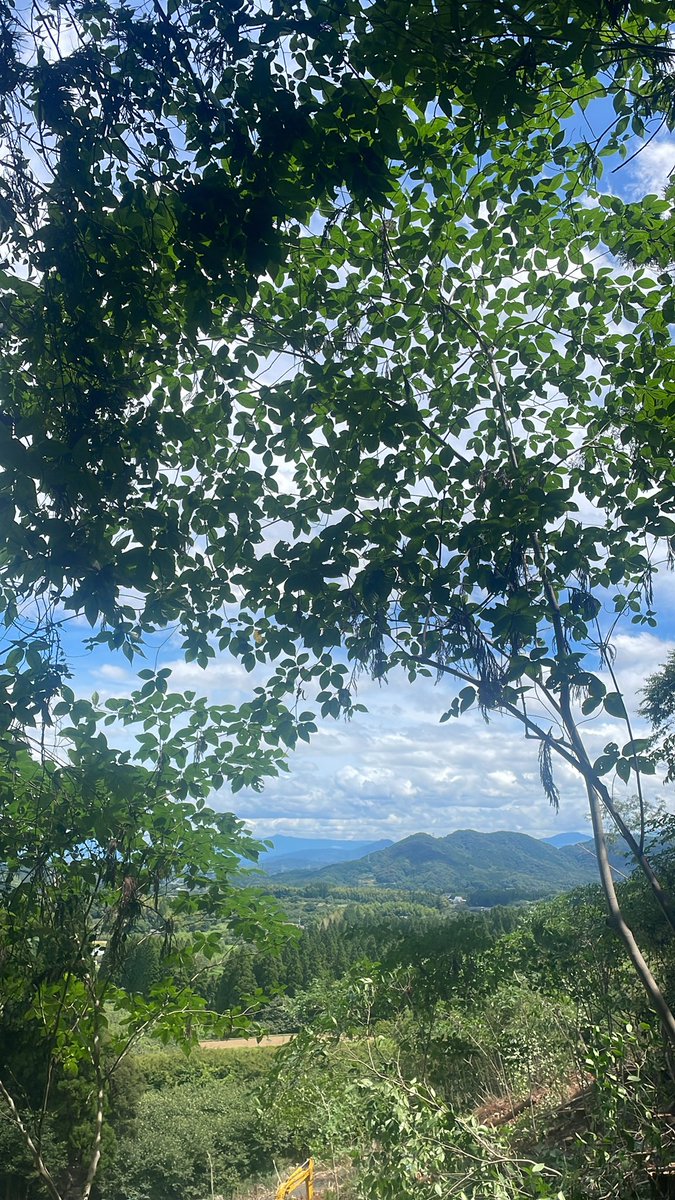 Little_UG's tweet photo. Hill Side🏔️🥭🥑 https://t.co/PI2GeBiFff
