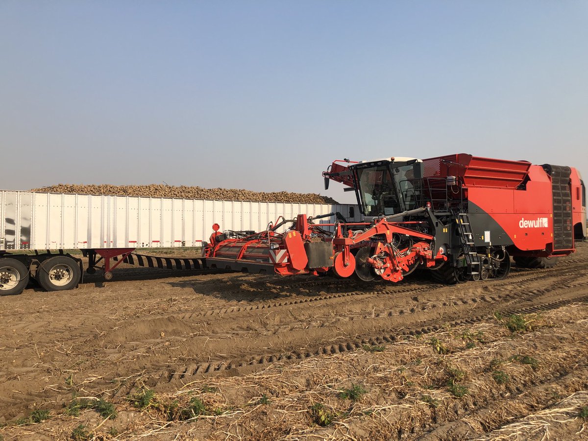 Dewulf Kwatro Xtreme flow is dialed in and first load of spuds is in the books.