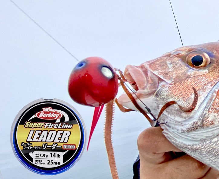 purefishing_jp's tweet photo. 【スーパーファイヤーライン　リーダー】
遊動式タイラバではリーダーの耐摩耗性は大変重要です。フロロカーボンである事は必須ですが、更に真鯛の叩くようなファイトでのバレにくいクッション性、細いメインラインとの結束強度が大切になります。スーパーファイヤーラインリーダーは伸びの極端に少ない高感度なスーパーファイヤーラインとの相性がバツグン。コーティングラインとの結束ではノットを締め込みやすい「しなやかさ」、大鯛特有のファイトでは適度なクッション性で衝撃を吸収します。
#berkley
#スーパーファイヤーライン
#スーパーファイヤーラインリーダー
#ショックリーダー
#タイラバ
#フロロカーボンリーダー
#ゆらゆら玉
#ノットが苦手な人は是非お試しを