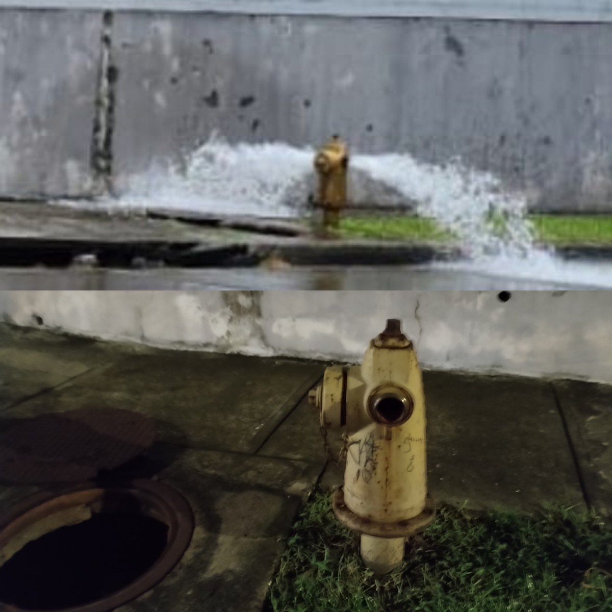ijurado11's tweet photo. @IDAANinforma @311Panama Será que ven la diferencia? Ya no hay nadie trabajando….cuando nos ponen el agua ????? @tvnnoticias  @JCRufinalfaro @AlvaroAlvaradoC https://t.co/ElLbkfxFPi