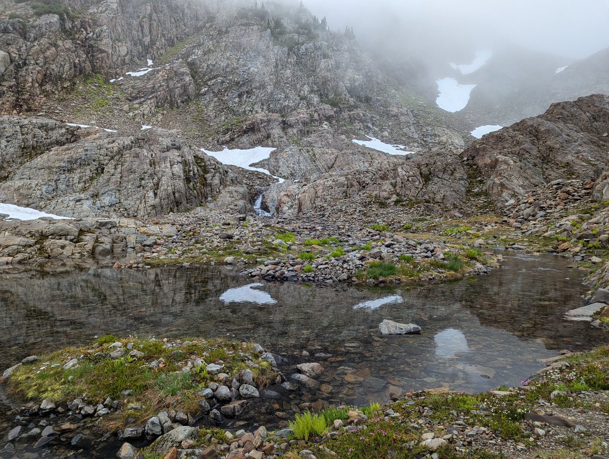 thesomeone's tweet photo. Hiking day. Unexpectedly dreary, but great atmosphere. https://t.co/OY3VYtpaAk