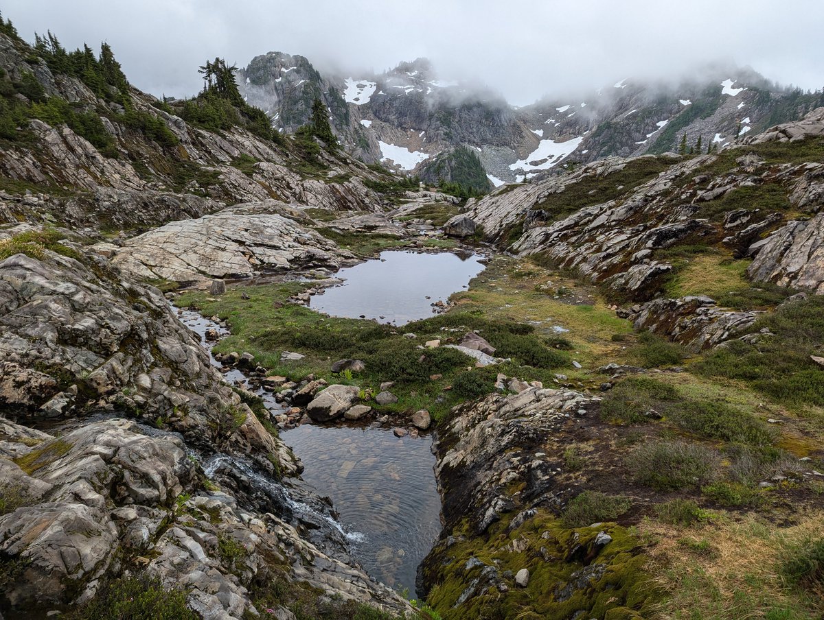 thesomeone's tweet photo. Hiking day. Unexpectedly dreary, but great atmosphere. https://t.co/OY3VYtpaAk