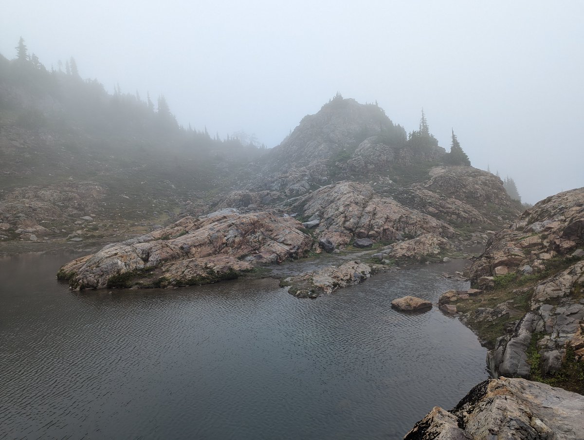 thesomeone's tweet photo. Hiking day. Unexpectedly dreary, but great atmosphere. https://t.co/OY3VYtpaAk