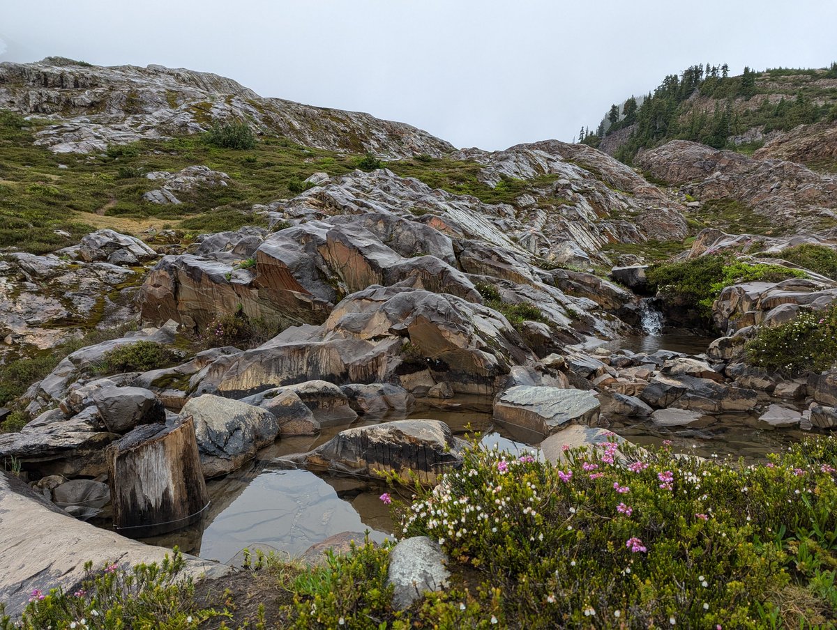 thesomeone's tweet photo. Hiking day. Unexpectedly dreary, but great atmosphere. https://t.co/OY3VYtpaAk
