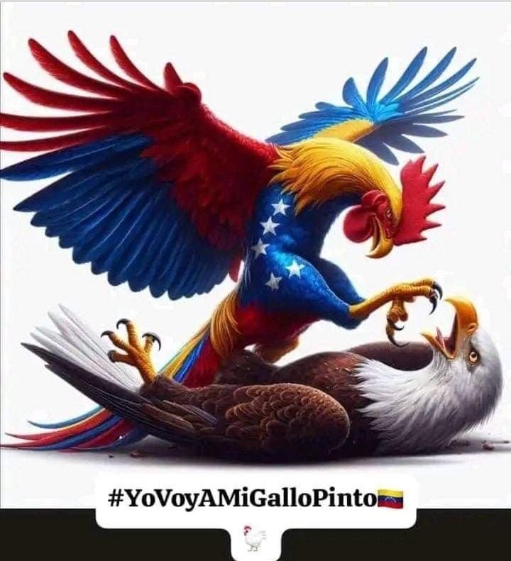 Voy a apostar 100$ con un pana d la oposición en una relación 3 a 1. Es decir, si pierde Nicolas yo le pago 100$ pero si gana el Gallo Pinto yo me gano 300$. Y acepta más apuestas. Si alguien quiere aprovechar esta golilla escríbame por acá o al  04146747611. A mi gallo Pinto voy