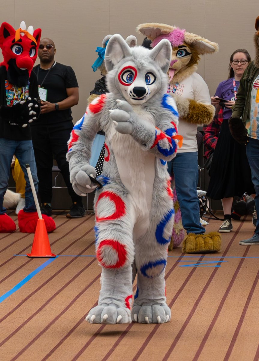 RinggarTheWolf's tweet photo. OMW to tell you how circles can improve your life this #FursuitFriday!

Photo taken by @ArcticWindPhoto at #AC2024 during the Fursuit Games! Full image: https://t.co/WhPOxUsGmP
🪡 @StarcaneArts https://t.co/AhlbnGuVUq