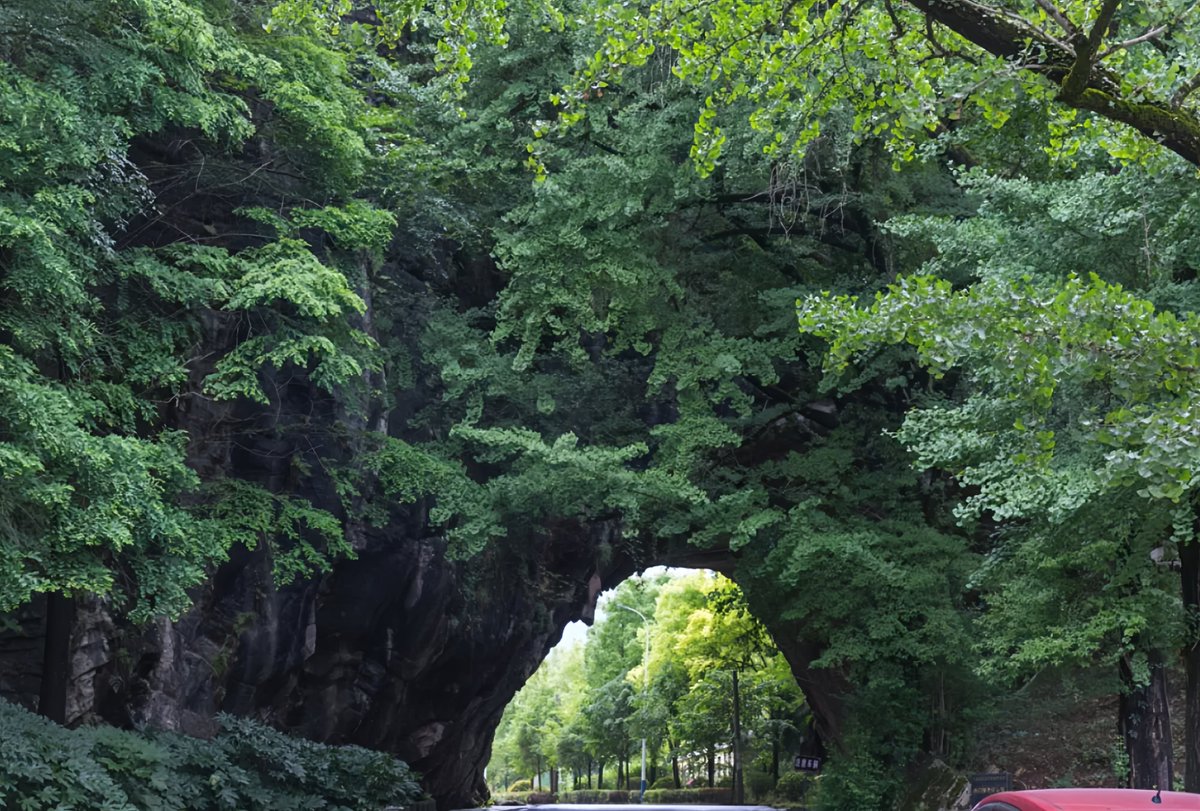 AnhuiTravel's tweet image. Driving into the picturesque Shanmeng Village, you can listen to the chirping of cicadas and birds in the trees, and enjoy the charming rural scenery as you relax and unwind. (Located in Xuancheng City)
#DrivingRoute #AnhuiCharacter #FindUniqueAH #VibrantAnhui #SouthernAnhui