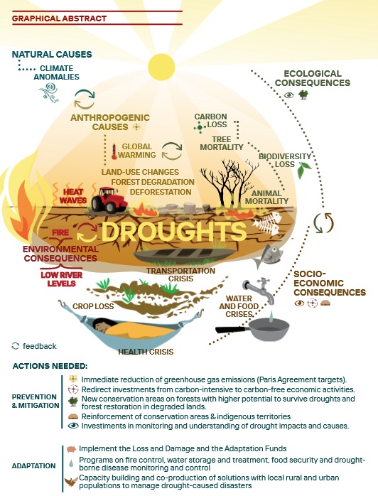 Ha sido publicado el Policy Brief sobre sequías en la Amazonía, con el conocimiento y recomendaciones más actualizadas sobre este preocupante asunto. Producido por el Science Panel for the Amazon, participé con algunas ideas. Puede ser descargado desde theamazonwewant.org/spa-reports/