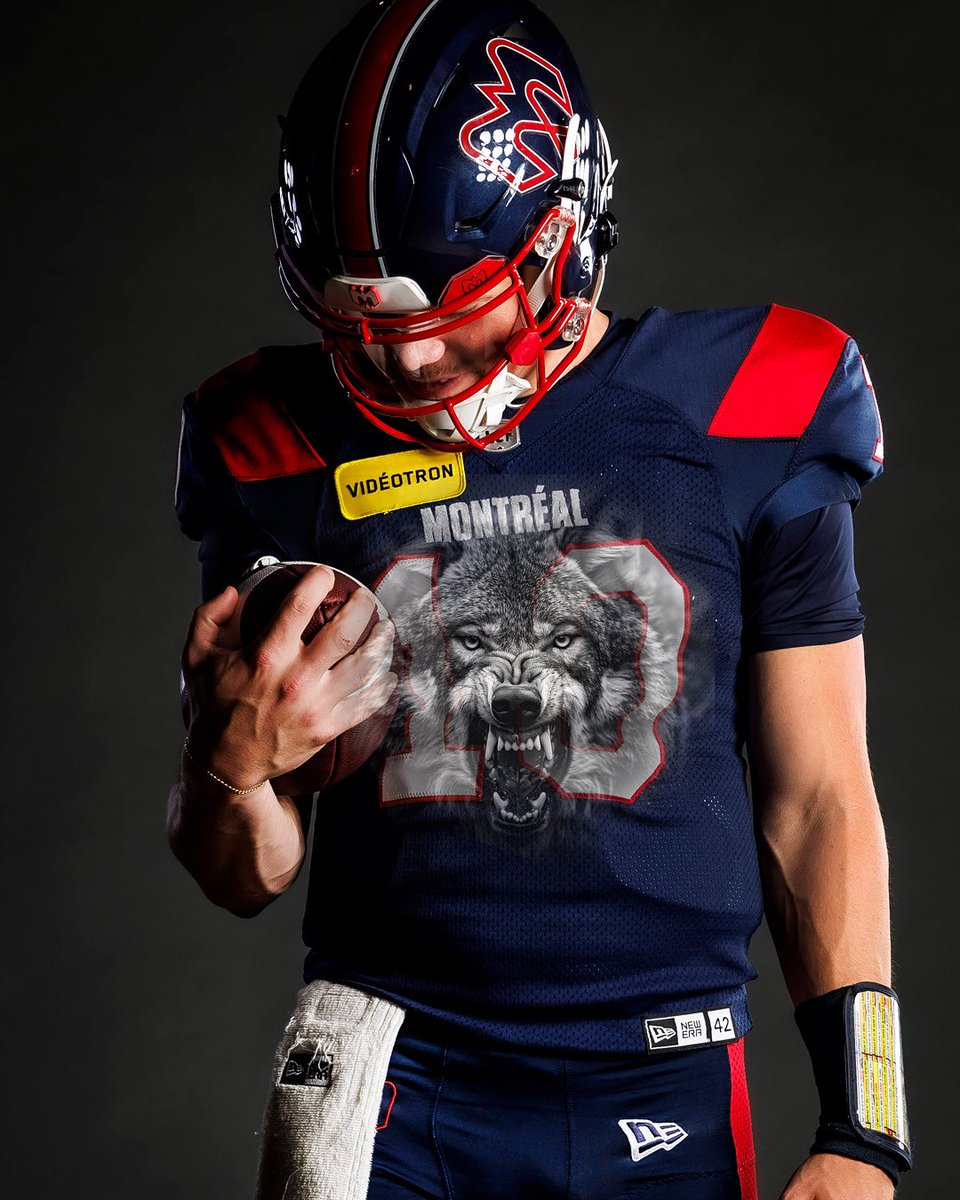 MTLAlouettes's tweet image. Davis has that dawg in him.

#Alouettes