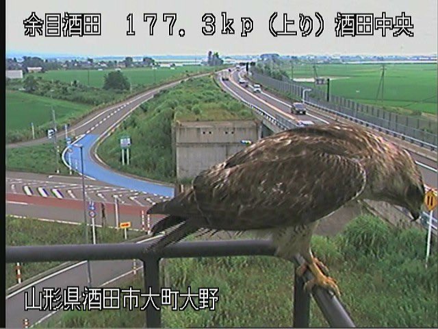 酒田中央IC、どでかく陥没してると思ったらお前かよ....(ちょっとほっこりした)