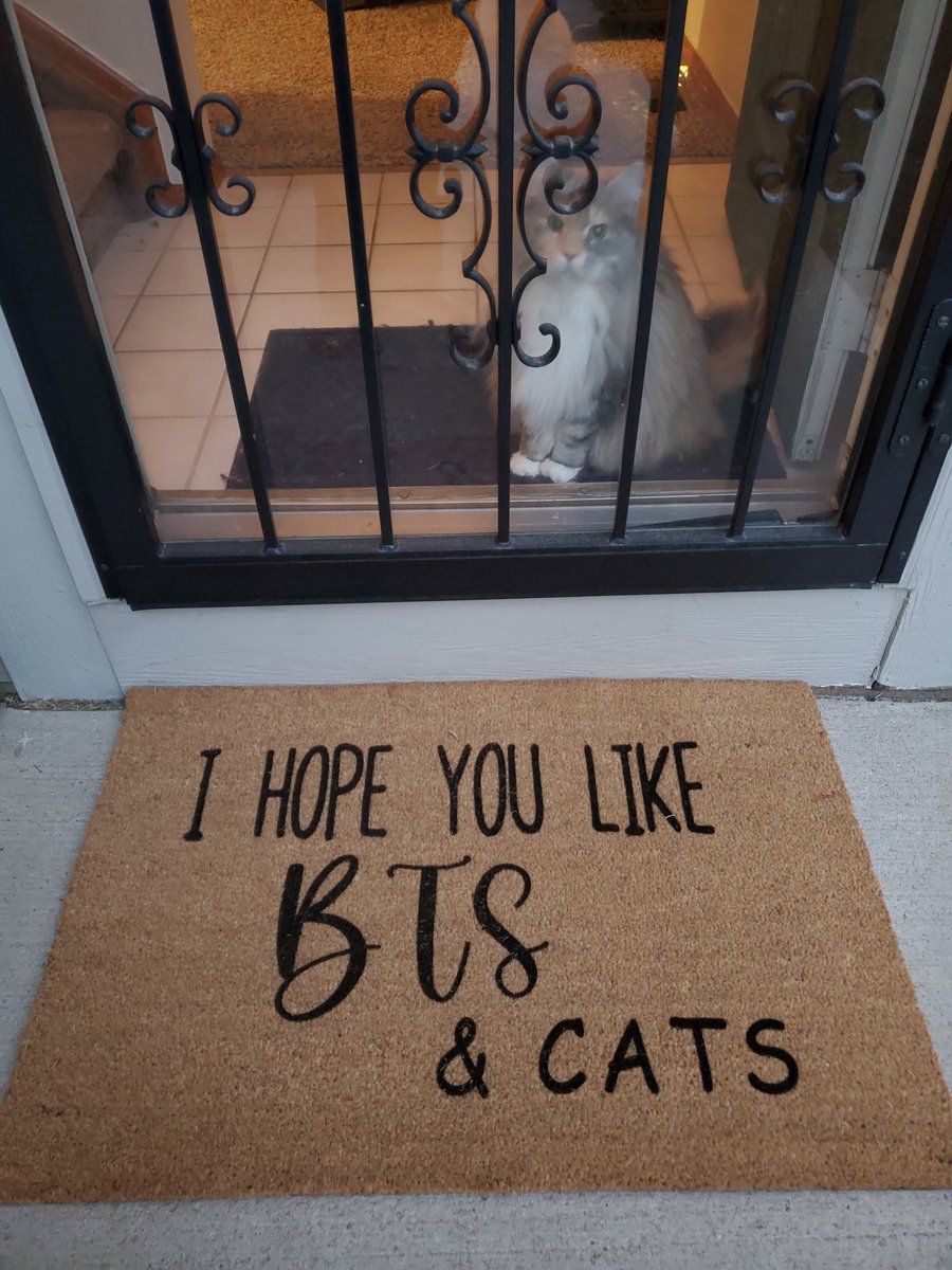 lady_with_luv7's tweet photo. No lies detected #BTSARMY #BTSARMYLIFE💜 #ifmycatslikeBTSaretheyCATMY https://t.co/Kz7kgGoj6j