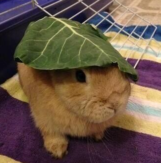 El Jrg 345 tweet media