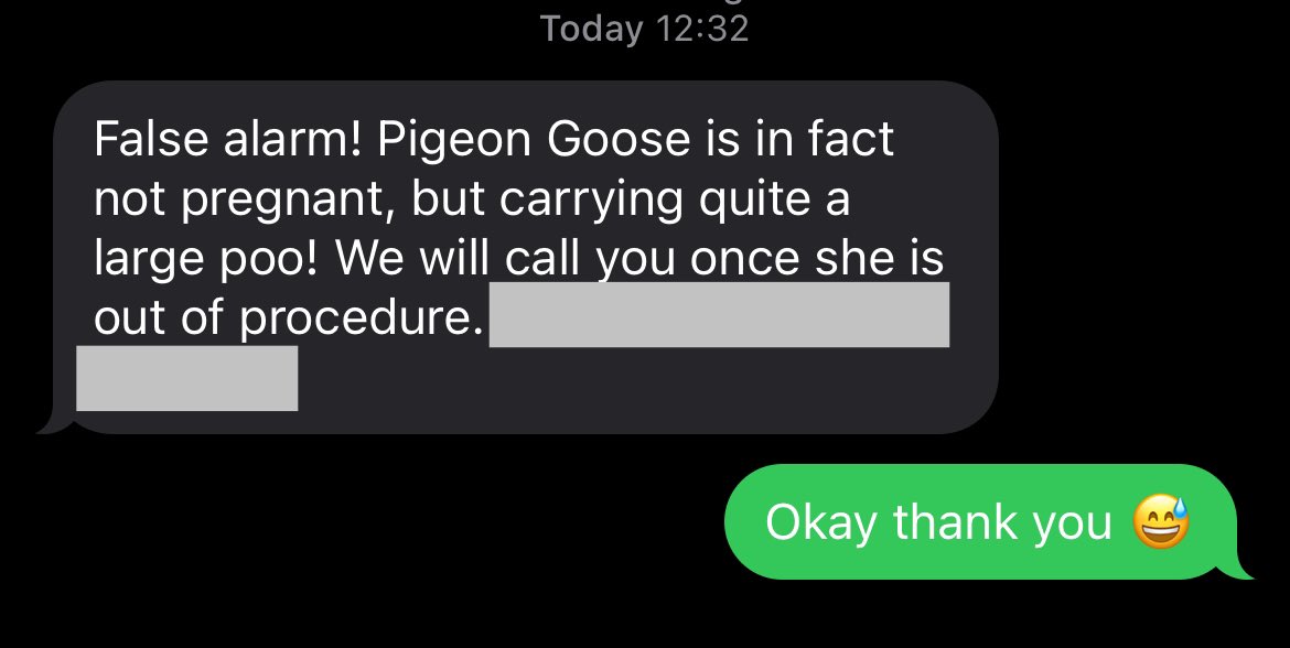 Took Pigeon to the vet to get spayed today, vet calls up &amp; says that Pigeon is pregnant.

Begin our complete confusion as the only cat Pigeon has been around is neutered.

Then we get this text: