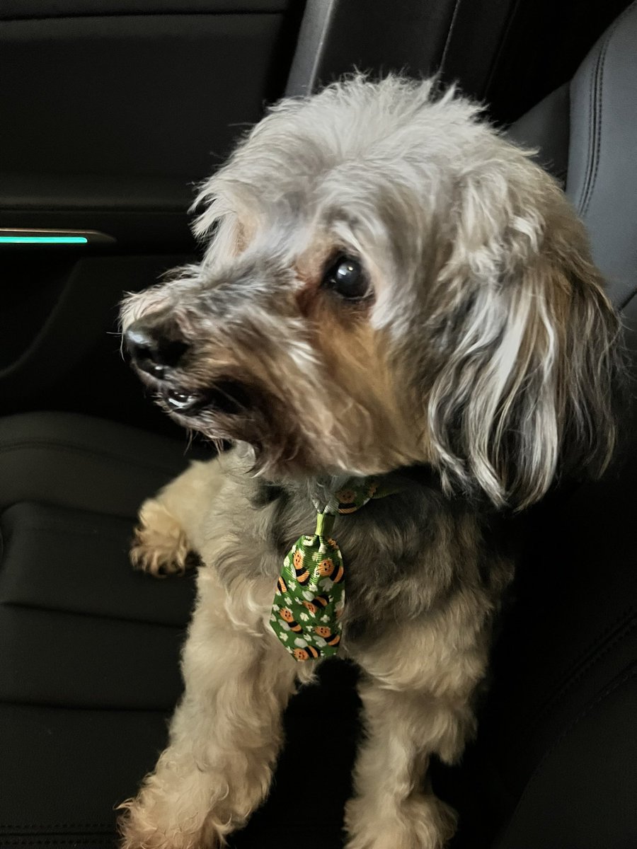 Kishia L. Powell tweet media