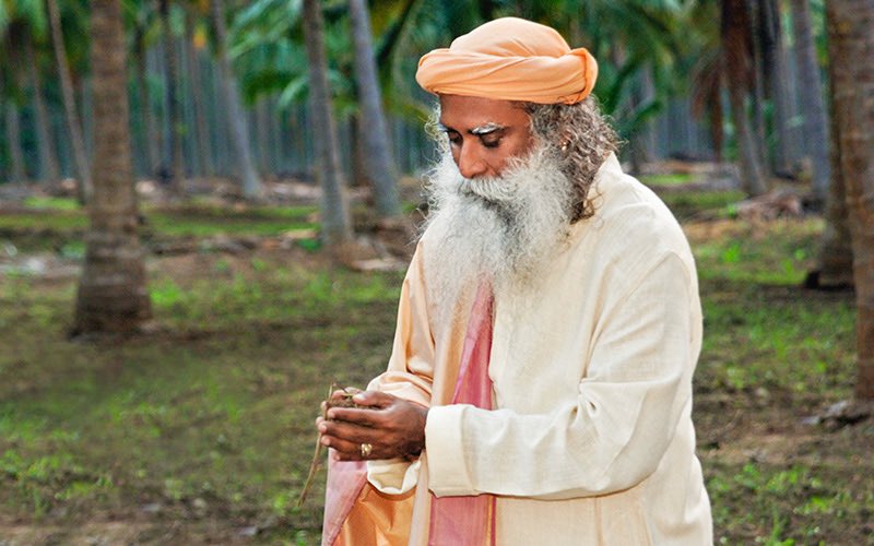 SadhguruJV's tweet photo. This body is just a loan from Mother Earth. One day you have to repay the loan. #SadhguruQuotes https://t.co/sONhsA212C