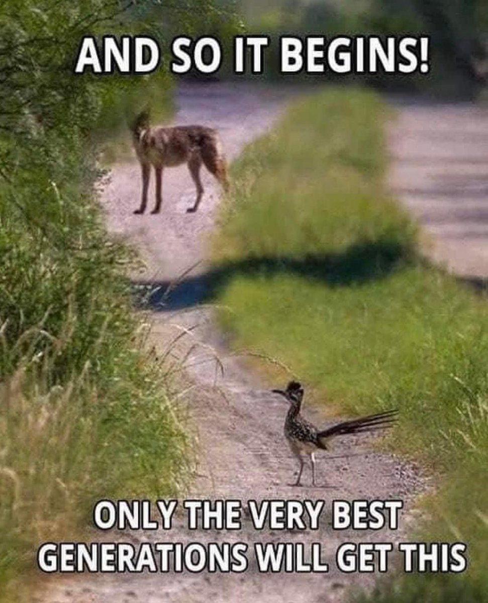 Sofia Johansson tweet media