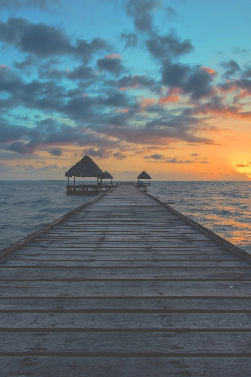 Jeff 💋 🇨🇦 🇺🇦 Slava Ukraini ❤️🥰 tweet media