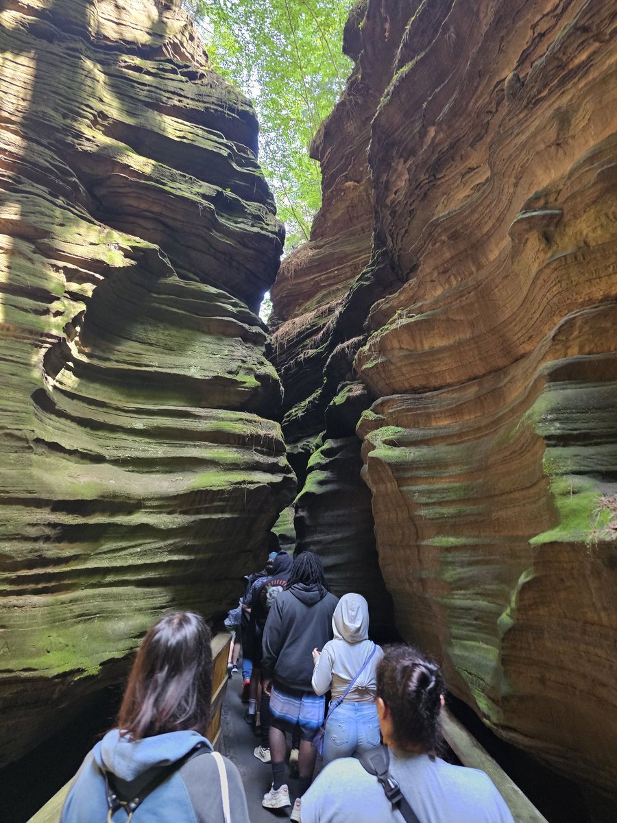 Taryn McKnight tweet media