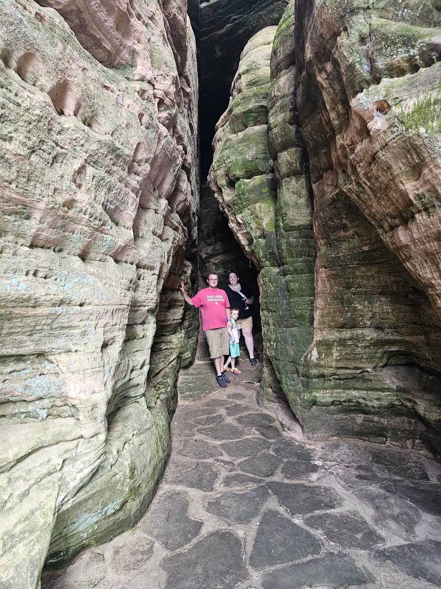 Taryn McKnight tweet media