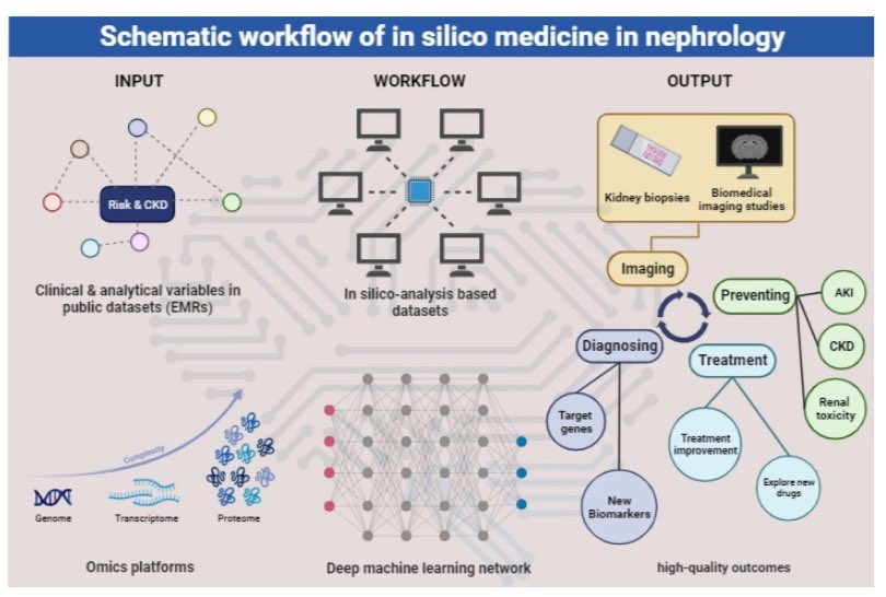 Dr. LUIS D'MARCO (@luisgerardodg) on Twitter photo Otra publicación con nuestros alumnos del proyecto snowball #CEU sobre medicina #insilico y #omics en #nefrología sin duda, el presente y futuro de la medicina <a href="/CienciaUCHCEU/">Ciencia CEU UCH</a> <a href="/prensaUCHCEU/">Prensa CEU UCH</a> <a href="/SENefrologia/">S.E.N. Nefrología</a> <a href="/ERAkidney/">ERA - European Renal Association</a> <a href="/ISNkidneycare/">Int Society of Nephrology</a> <a href="/jorgericof/">Dr Jorge Rico Fontalvo. MD.FISN. FSLANH , PhD</a>
Free 👉 krcp-ksn.org/m/journal/view… Otra publicación con nuestros alumnos del proyecto snowball #CEU sobre medicina #insilico y #omics en #nefrología sin duda, el presente y futuro de la medicina <a href="/CienciaUCHCEU/">Ciencia CEU UCH</a> <a href="/prensaUCHCEU/">Prensa CEU UCH</a> <a href="/SENefrologia/">S.E.N. Nefrología</a> <a href="/ERAkidney/">ERA - European Renal Association</a> <a href="/ISNkidneycare/">Int Society of Nephrology</a> <a href="/jorgericof/">Dr Jorge Rico Fontalvo. MD.FISN. FSLANH , PhD</a>
Free 👉 krcp-ksn.org/m/journal/view…