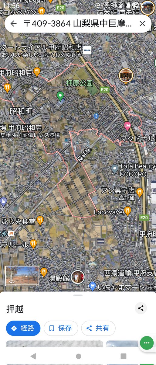 iWaFDUeWUTuqm9L's tweet photo. 迷子が山梨県昭和町押越で保護です https://t.co/rLv5A68KGK