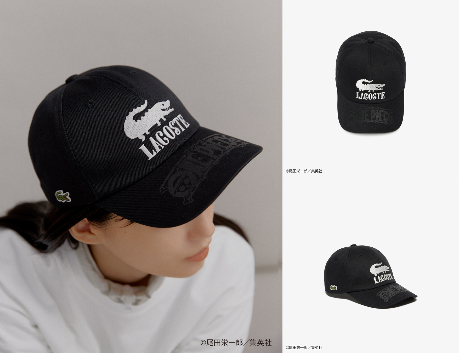 LACOSTE JAPAN | ラコステ ジャパン on X: LACOSTE JAPAN | ラコステ ジャパン on X: