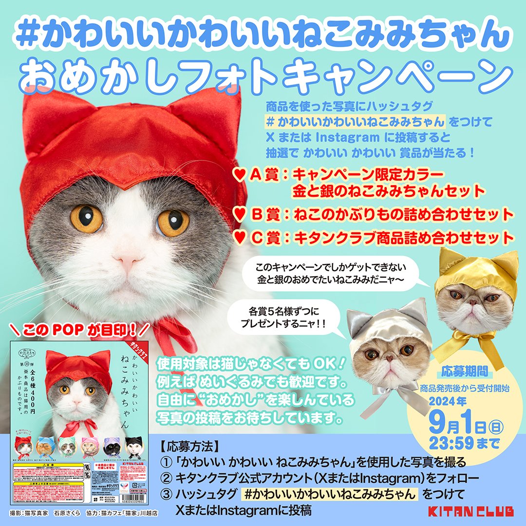kitan_club's tweet photo. ＼📢キャンペーン情報／

「かわいい かわいい ねこみみちゃん」発売記念企画🐾❤

キタンクラブ公式アカウント（@kitan_club）フォロー＆写真投稿で
限定カラーのねこみみちゃんや商品詰め合わせセットが当たります🎁✨

詳細は画像をチェック👀🔍

#かわいいかわいいねこみみちゃん https://t.co/SGHEZYVLTO