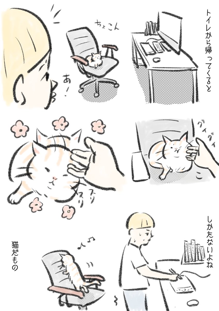 猫がそこにいたいと言うのなら仕方ないですね。 