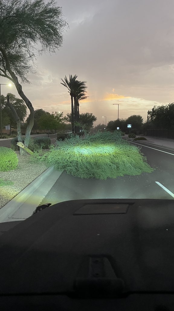 The dust &amp; wind that just blew through Goodyear was pretty intense! I wasn’t expecting it as I sat outside watching the storm move in. 

My wife was out on a walk, so I ventured out to rescue her. Found 10-12 trees down in the neighborhood &amp; on Sarival. #azwx <a href="/NWSPhoenix/">NWS Phoenix</a>