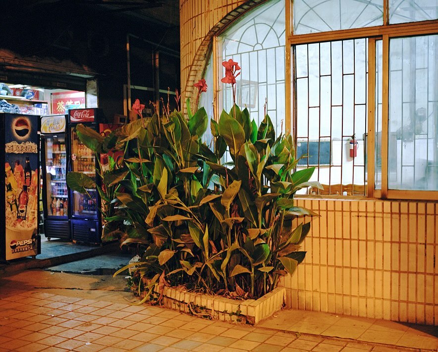 gregforaday's tweet photo. Travels in the PRC. 2007-2011.
Books available via link in bio.
https://t.co/fcCHtVXq1H
1. Lianzhou. 2011.
2. Shenyang. 2007.
3. Lianzhou. 2011.
4. Near Linyi, Shandong. 2007.
#lianzhou #longexposure #colourshift #nightwalking #outtakes #onassignment #noassignment #greggirard
