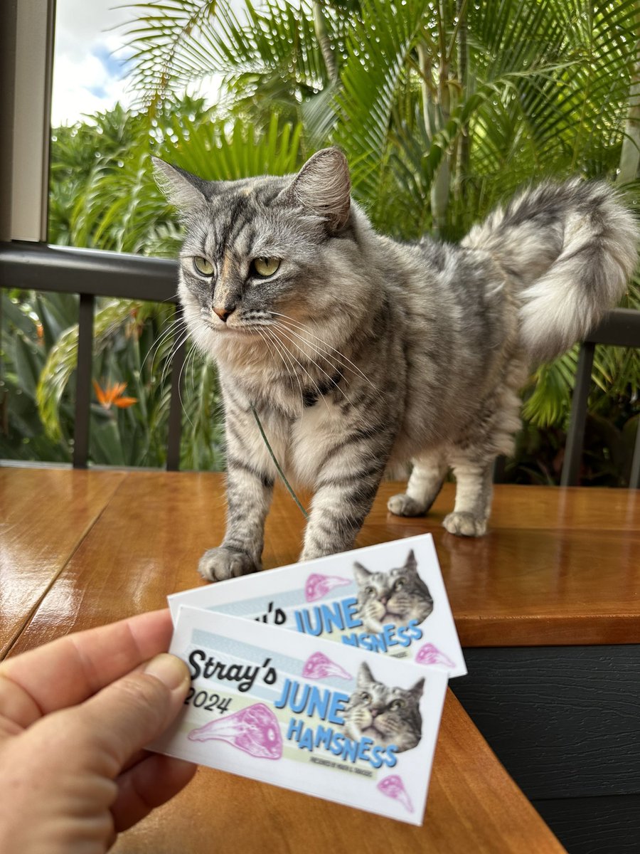Wahoo! Stickers arrived for Madam Pele! Mahalo Spots, @mouthntrousers, and <a href="/StrayLiotta/">Stray Liotta, Hey Spots!</a>! #JuneHamsness