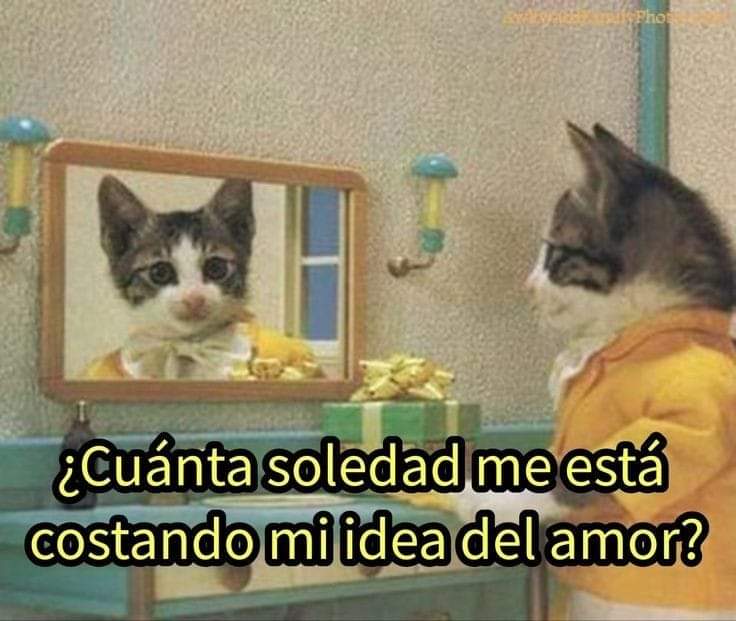 En Júpiter tweet media