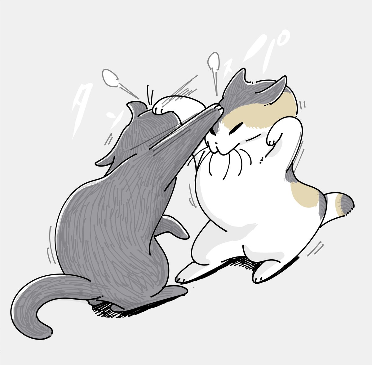 Post by キュルZ on X: 🐱🐱