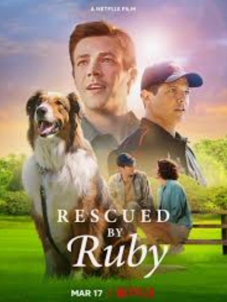 AlineNorena's tweet photo. Solo diré que esta película les dará la razón más fuerte para adoptar....
#ElRescateDeRuby
#AdoptaNoCompres https://t.co/OPoBB7AvT4