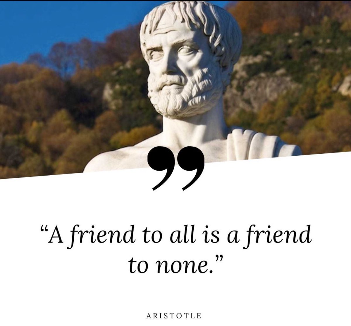 nasiiir23's tweet photo. #WordOfTheDay #motivationalquote #LiteraturePosts #Philosophy #pyschology #selfawareness #booklovers #bookreviews #librarymindset #meditations #selfdevelopment #aristotle #fake #friendship #enemies #men #stoic https://t.co/8g7stXZSzH