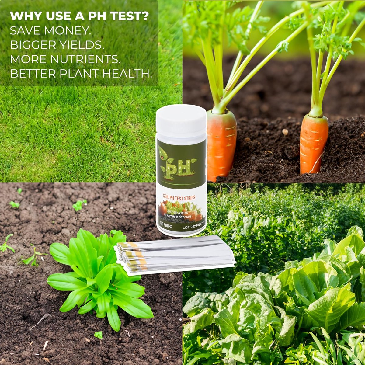 CrazySalesAus's tweet image. 100 Strip Soil pH Test Kit, Complete pH Test Checker for Gardens, Lawns, Grass, and Vegetable, Gardening Tool, 1 Pack Now: $12.95
bit.ly/46iUrUf
#soilphu #phtester #phchecker #gardens #lawns #gardeningtool