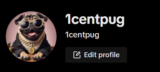1CentPug's tweet photo. Follow us on TikTok for upcoming surprises. 💟🐶🐶
https://t.co/Hdgyc26c5w https://t.co/EdPWn6T4Hu