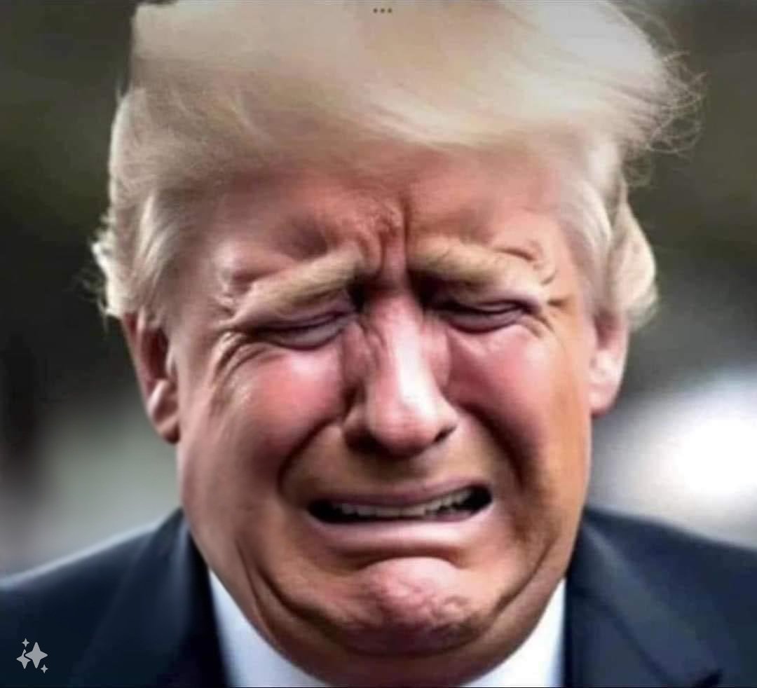 🅼🅰🆇 🅴🅷🅵🅾🆁🆃 tweet media