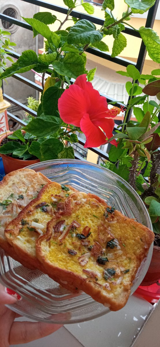 ArunimaSah42299's tweet photo. Good Morning 🌄😊
Breakfast tym🥚🍞
#GoodmorningtTwitterWorld #GoodMorningXFriends #GoodMorningEveryone #GoodMorning #breakfast #Foodies #Foods #foodphotography #happyf https://t.co/0r69BSb3Zu