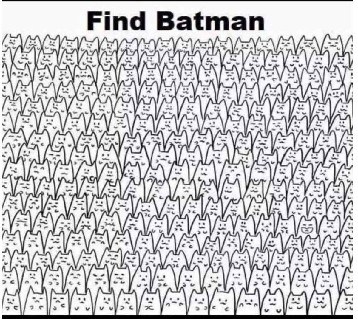 😹 <a href="/GothamsBatLife/">Bruce Wayne🦇 {Parody}</a>