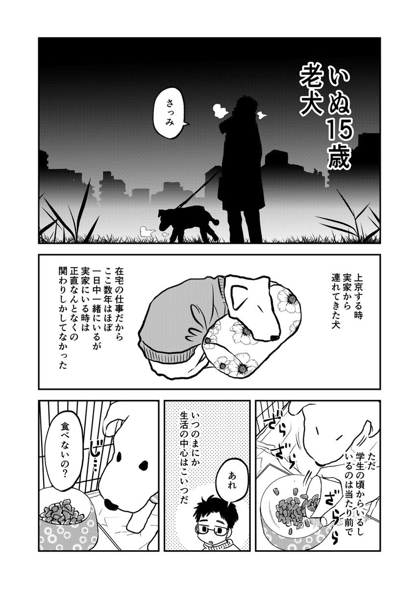 老犬の老いに向き合う話。(1/3) 